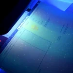 Купить диплом в Новороссийске